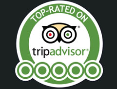 Trip Advisor reviews